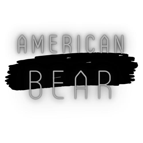 American Bear Winter